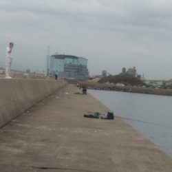 今年も太刀魚へ・・